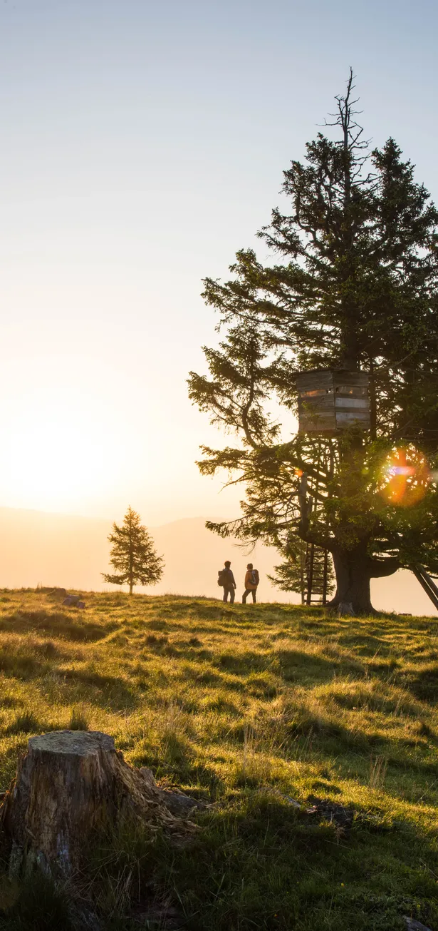 Sonnenaufgang in den Kärntner Nockbergen
