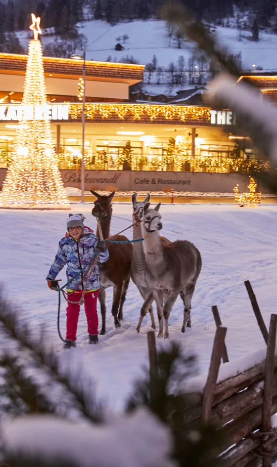 Weihnachtsmarkt in Bad Kleinkirchheim