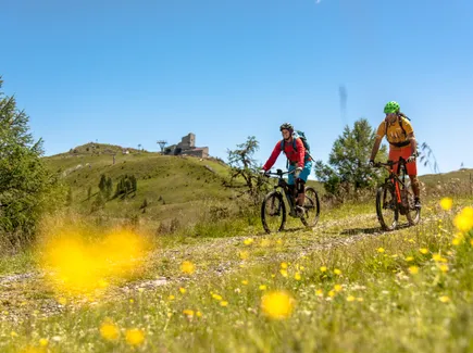 Bicicletta