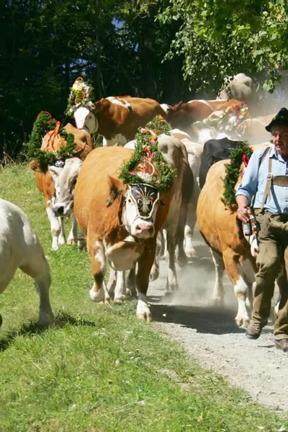 Almabtrieb-Wochenende in Bad Kleinkirchheim