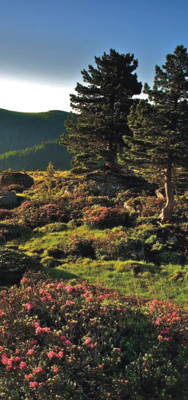 Wandern am Alpe-Adria-Trail